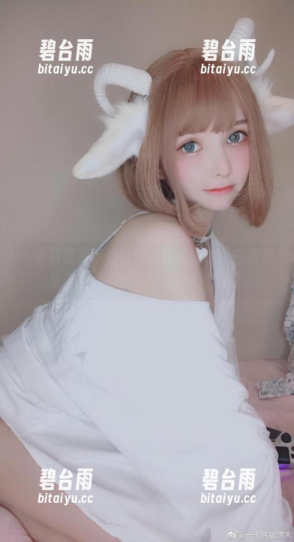 一千只猫薄禾的艾瑞尔版本，静谧夜曲里是否藏着一丝不为人知的灵动？